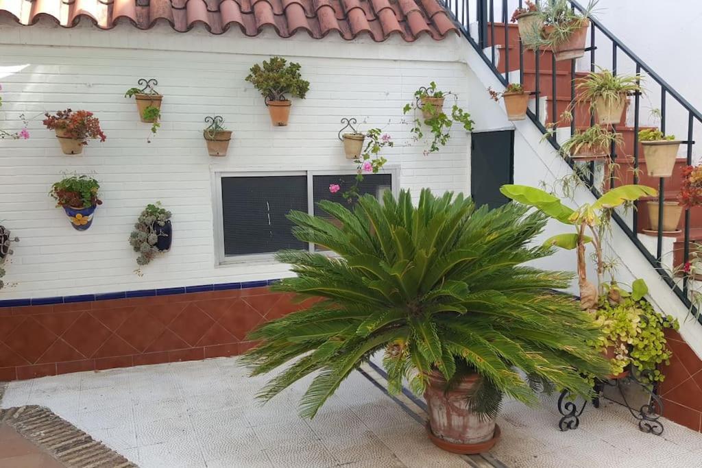 Sevilla A Tus Pies Mairena del Aljarafe Ngoại thất bức ảnh